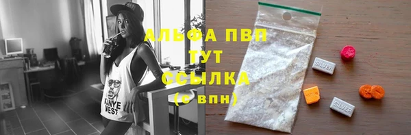 стаф Абаза