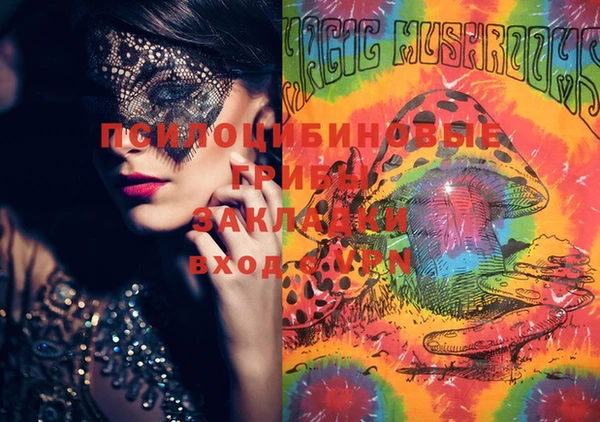 ECSTASY Новокубанск