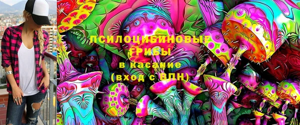 стаф Абаза